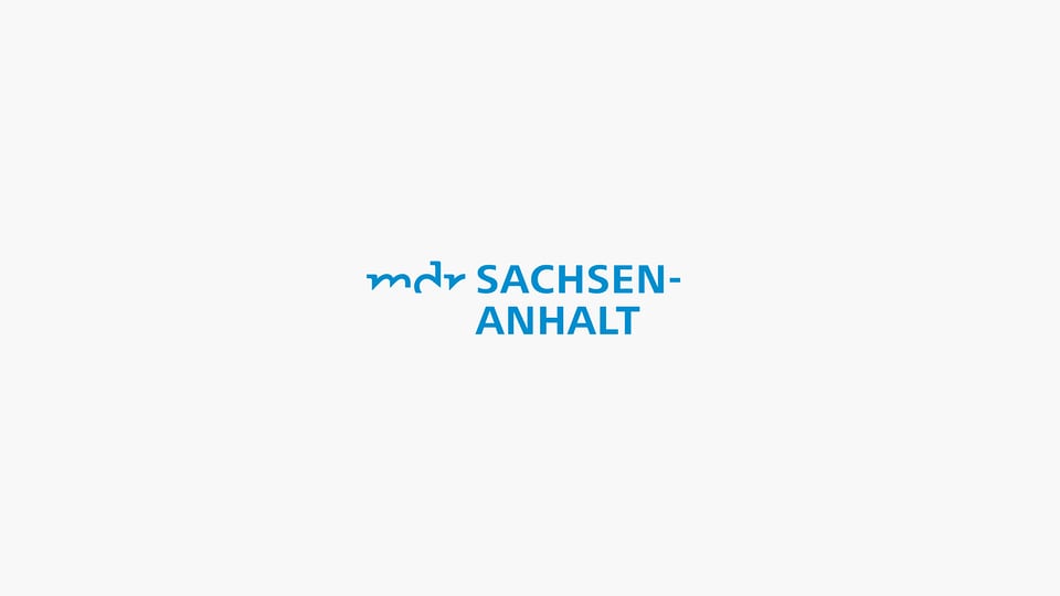 Sachsen-Anhalt-Trend zur Landtagswahl: CDU, AfD und SPD ...