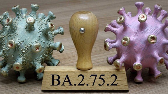 Coronamodelle und Stempel mit BA.2.75.2