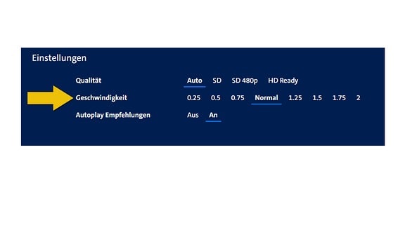 Das Bild zeigt die einstellbaren Videooptionen nach dem Öffnen. Zur Auswahl stehen nun die Videoqualität, Geschwindigkeit und die Autoplay-Optionen.