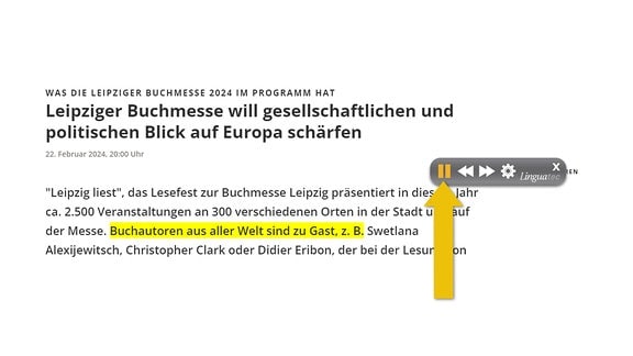 Das Bild zeigt wie oben einen Screenshot eines Artikels von mdr.de. Die Audioausgabe ist weiterfortgeschritten und pausiert. Das Fenster mit den Optionen zeigt jetzt Pause.