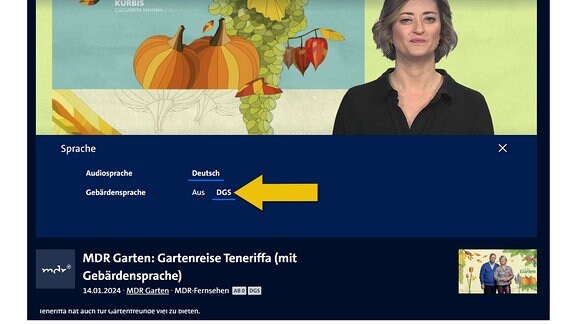 Das Menü Sprache ist geöffnet. Die Optionen DGS unter dem Punkt Gebärdensprache ist angewählt.