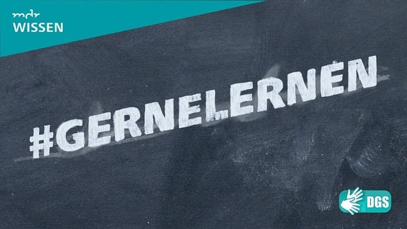 Kreideschrift auf Schiefertafel:  #GERNELERNEN. Logos: MDR WISSEN, DGS