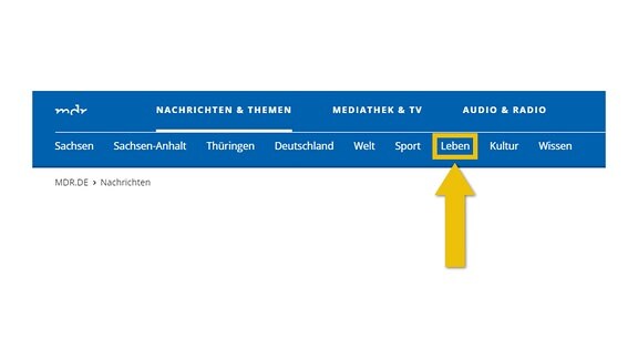 Das Bild zeigt auch die Navigation auf mdr.de. Hervorgehoben ist Leben.