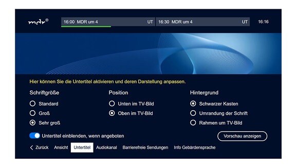 Eine Übersicht zu den Einstellungen der Untertitel wird angezeigt. Es gibt verschiedene Optionen bezüglich Schriftgröße, Position und Hintergrund der Untertitel.