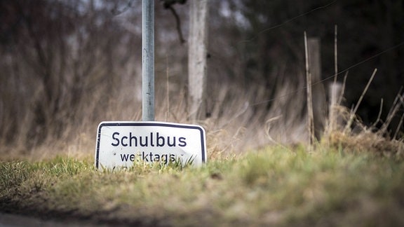 Schild an einer Bushaltestelle mit der Aufschrift Schulbus werktags liegt auf einer Wiese