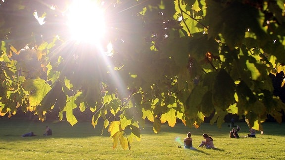 Personen liegen auf einer Liegewiese im Englischen Garten und genießen das schöne Herbstwetter.