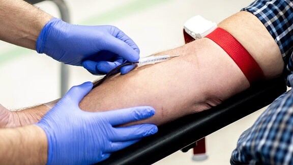 Ein Mitarbeiter vom Blutspendedienst NSTOB des Deutschen Roten Kreuzes fixiert während einer Blutspende die Nadel