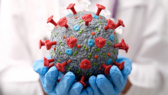 Ein Arzt hält ein künstliches Plastikmodell des Coronavirus in seinen Händen. 