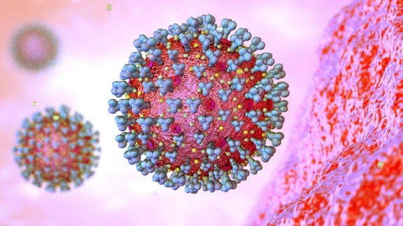 Grafische Darstellung eines Corona-Virus