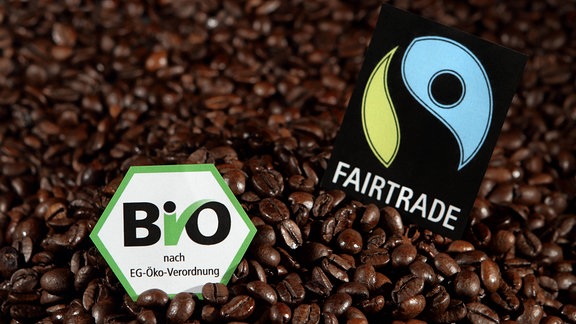Kaffeebohnen mit EG-Bio- und Fair-Trade-Siegel.