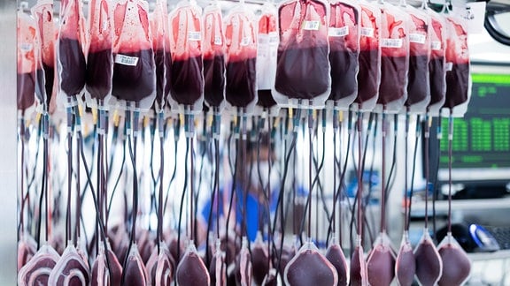 Blutkonserven werden im Zentrallabor des DRK-Blutspendedienstes für Krankenhäuser und Praxen gefiltert und aufbereitet.