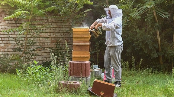 Ein Imker inspiziert 2021 seine Bienenstoecke, die er auf einem Friedhof in Berlin-Friedrichshain aufgestellt hat.