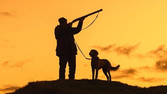 Jäger mit Jagdgewehr und Weimaraner Hund in der Wiese bei Sonnenuntergang