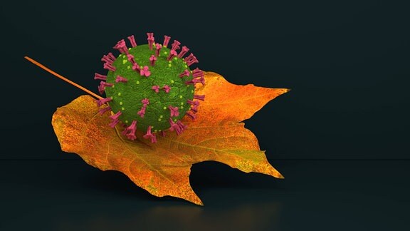 Illustration: Ein Corona-Virus auf einem bunten Ahornblatt.