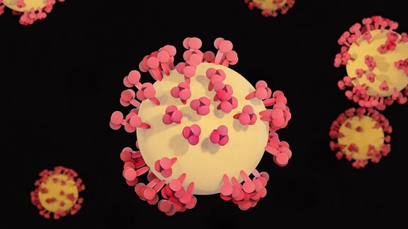 Coronavirus SARS-CoV-2