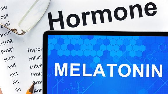 Schriftzüge Hormone und Melatonin