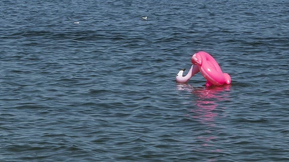 Ein gekenterter aufblasbarer Flamingo