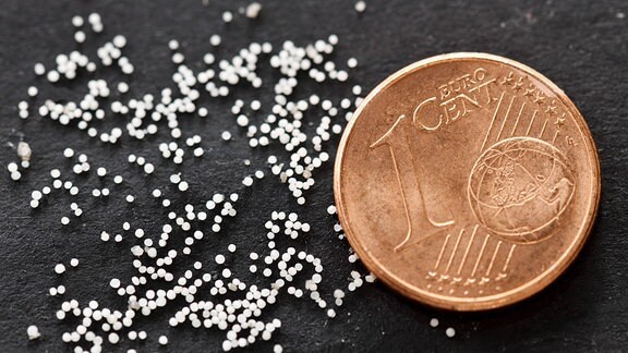 Mikroplastik-Partikel im Größenvergleich neben einer Ein-Cent-Münze