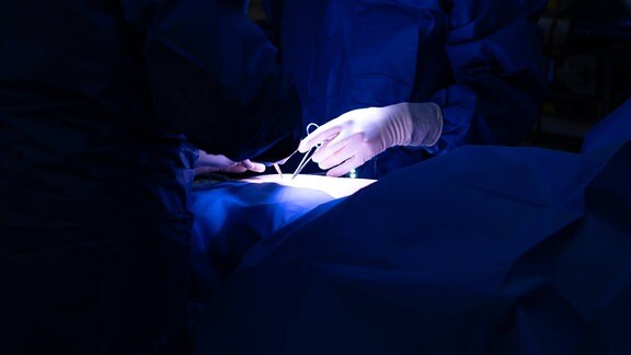 In einem Operationssaal setzt der Operateur mit einem Skalpell einen kleinen Hautschnitt.