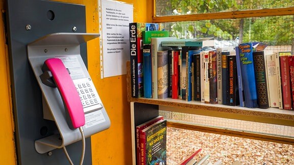 Telefonzelle als Bücherbox in Lübars, 2018