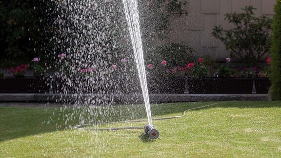 Ein Rasensprenger verteilt Wasser auf eine größere Rasenfläche, die unter der bestehenden Trockenheit leidet.
