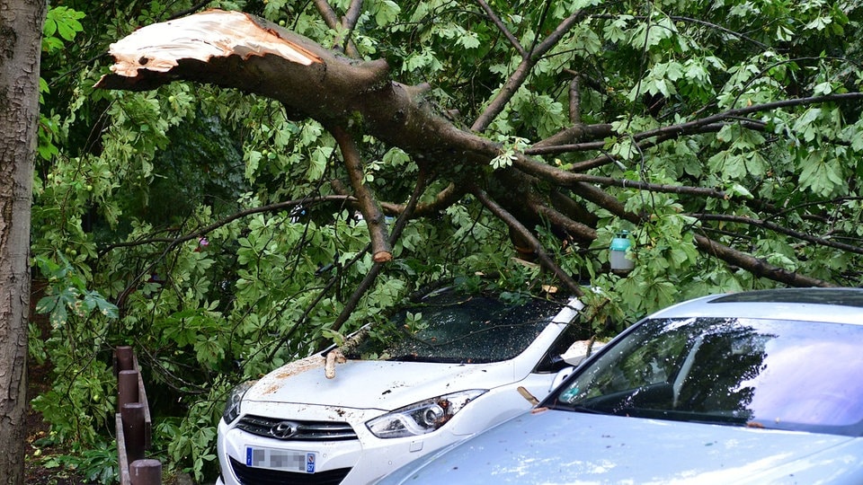 Schäden durch Unwetter: Wann zahlt welche Versicherung ...