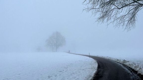 Landschaft mit kahlen Bäumen, Nebel und Schnee