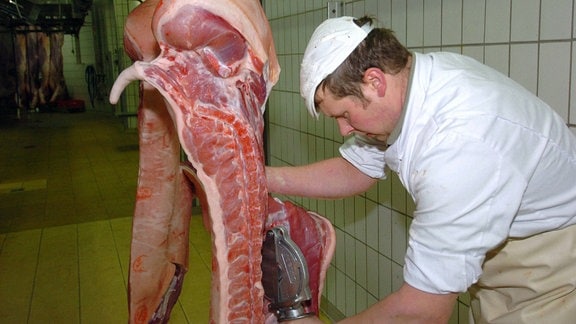 Ein Fleischer beim zerlegen eines Schweins