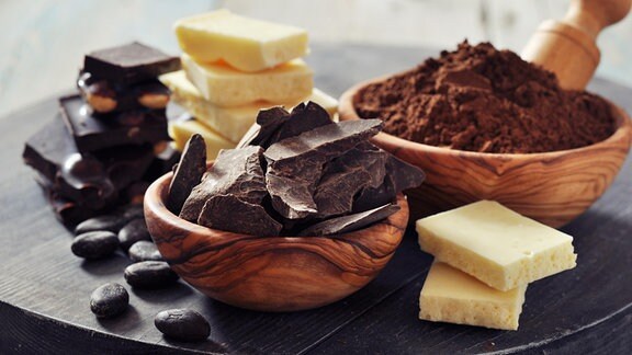 Schokoladenstücke verschiedener Art und Kakaopulver