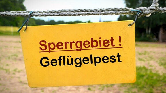 Ein Schild an einem Zaun "Sperrgebiet! Geflügelpest"
