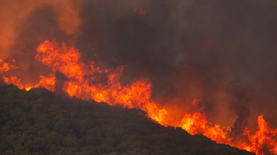 Australian bushfires may reduce rainfall globally