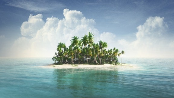 Eine Insel mit Palmen im Meer.