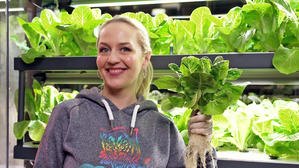 Vertical Farming im Restaurant Anbau direkt im Gastraum MDR.DE