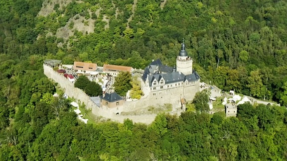 Luftaufnahme Burg Falkenstein