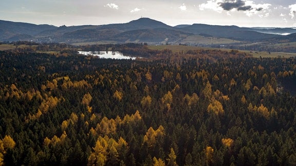 Blick auf Bäume, Wälder, einen See und Berge