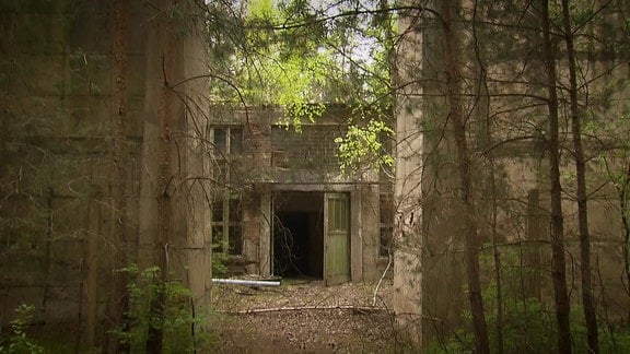 Versteckte Munitionsfabrik im Wald