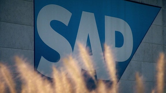SAP steht auf blauem Grund an einer Wand.