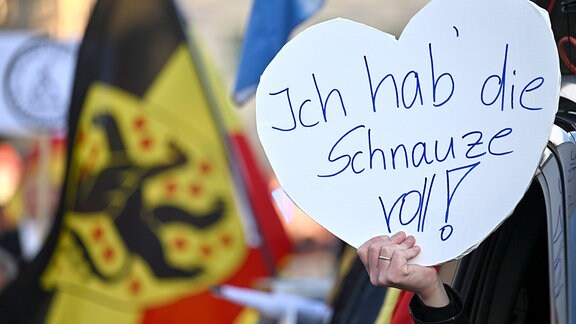 "Ich hab die Schnauze voll"-Plakat bei AfD-Demo in Weimar.