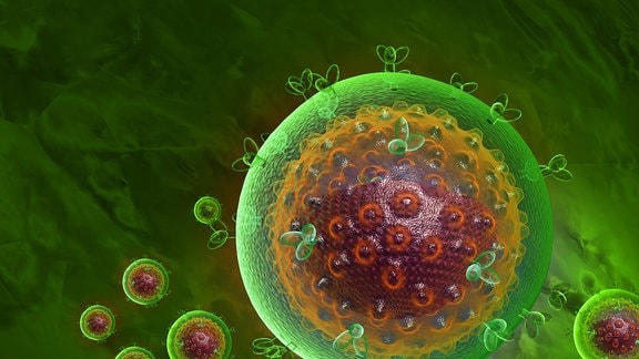 Reihenfolge der Top Hiv spritze