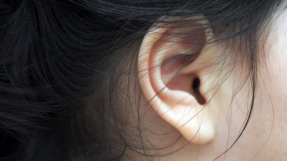 Symbolfoto Gehörlos: Ohr einer Frau