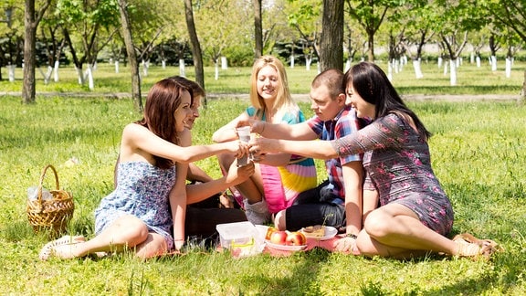 junge Menschen beim Picknick auf einer Wiese