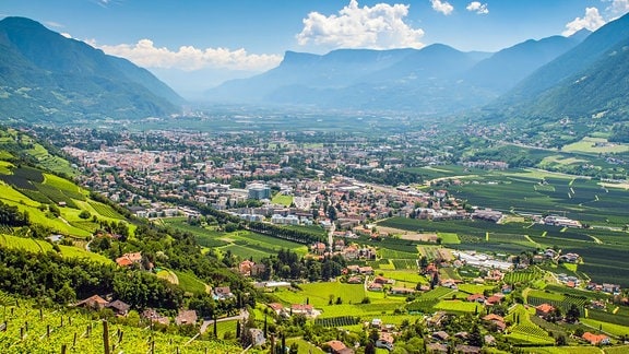 Blick auf die Stadt Meran in Südtirol zwischen Bergen, Weinanbaugebieten und Apfelplantagen