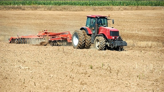 Ein Traktor mit einem Pflug auf einem Feld