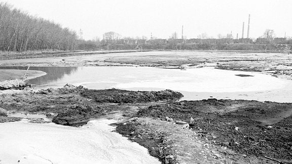 Der sogenannte Silbersee, eine Industriekloake in Bitterfeld, 1990