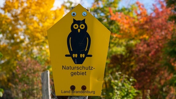 Ein Schild Naturschutzgebiet im UNESCO-Weltnaturerbe Buchenwald Grumsin bei Altkünkendorf Landkreis Uckermark im Biosphärenreservat Schorfheide-Chorin.