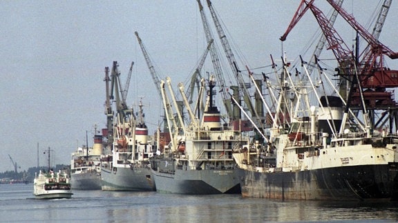 Verladekraene und Frachtschiffe im Ueberseehafen Rostock