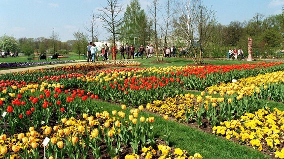 Bei strahlendem Sonnenschein und Temperaturen um 20 Grad Celsius zog es viele Cottbuser schon am Eröffnungstag, 29.04.1995, zum Gelände der Bundesgartenschau (BUGA).