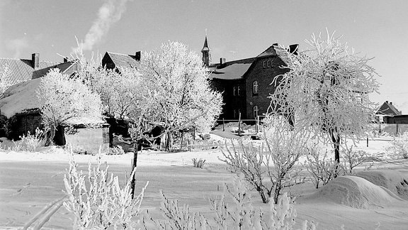 Eine Winterlandschaft mit Häusern und Bäumen.