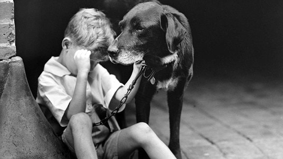 Fotografie: Sad Boy with Dog, USA, Harris & Ewing, 1921