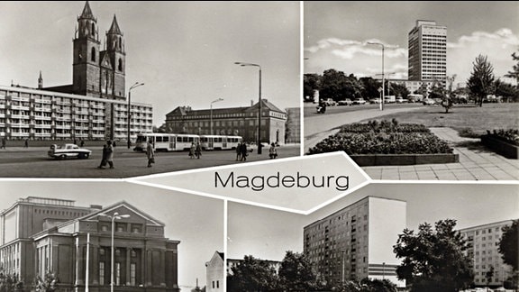 Viergeteilte Postkarte von Magdeburg in Schwarz-weiß. Zu sehen sind unter anderem der Magdeburger Dom mit Plattenbau davor, rechts die damalige Filiale der DDR-Staatsbank; mehrere Plattenbauten sowie das Opernhaus